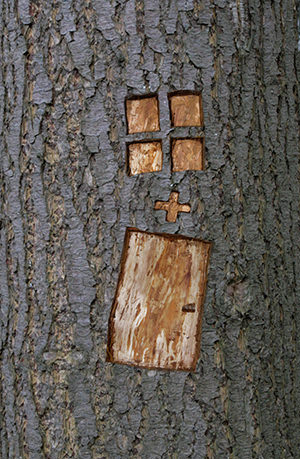 Партнерам деревянных окон